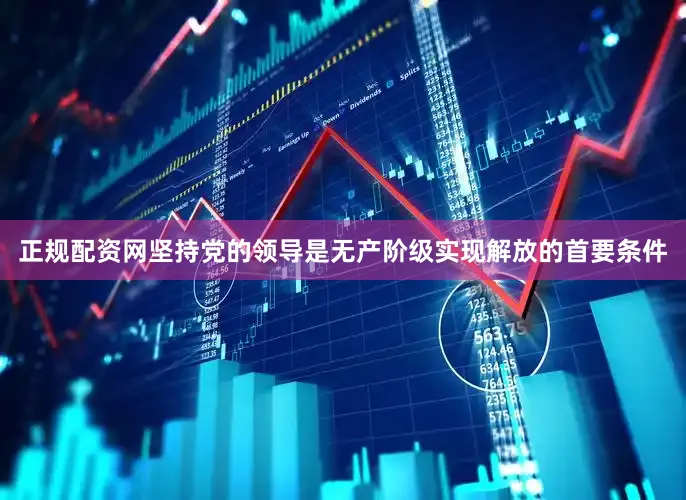正规配资网坚持党的领导是无产阶级实现解放的首要条件