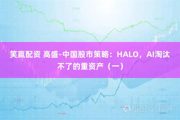 笑赢配资 高盛-中国股市策略：HALO，AI淘汰不了的重资产（一）