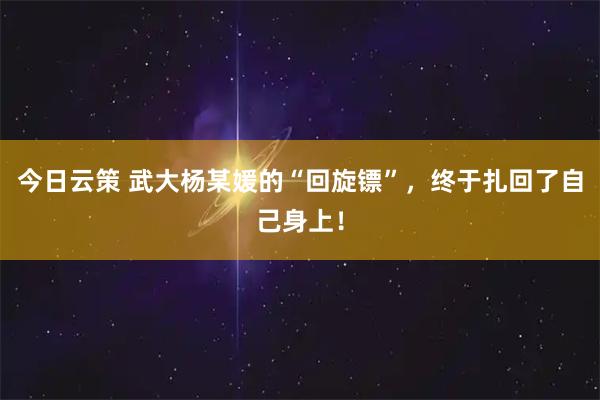 今日云策 武大杨某媛的“回旋镖”，终于扎回了自己身上！