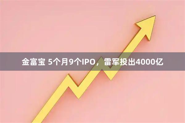 金富宝 5个月9个IPO，雷军投出4000亿